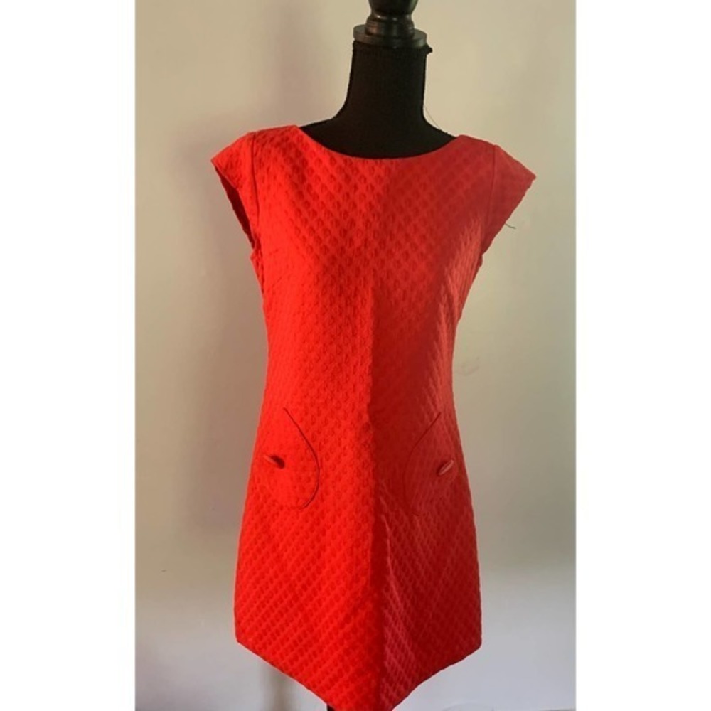 Kim Rogers Red Mini Dress: Petite